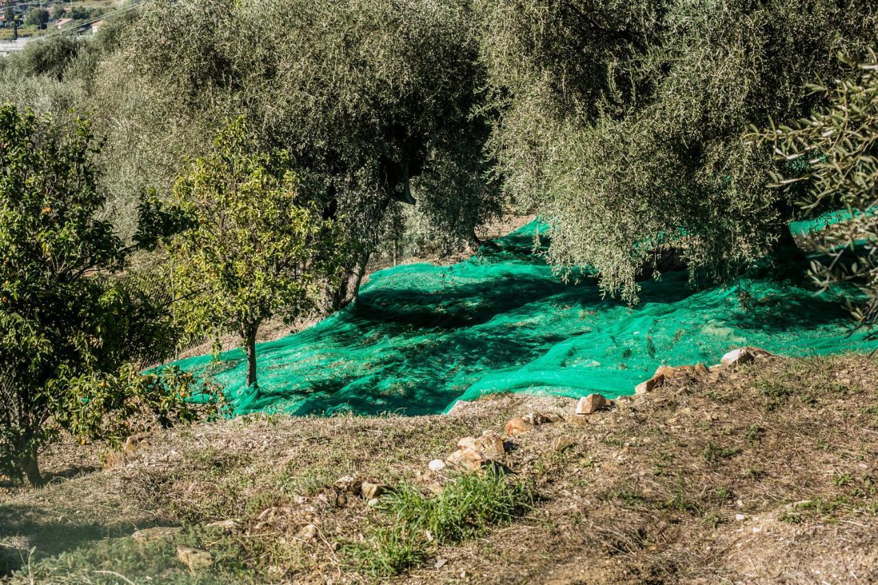 Готель Le Raganelle Oneglia Екстер'єр фото